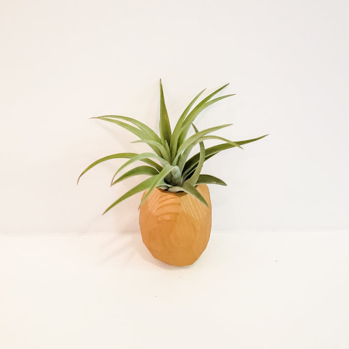 avon pineapple planter Pineapple Planter Magnet – BellasBloomShop