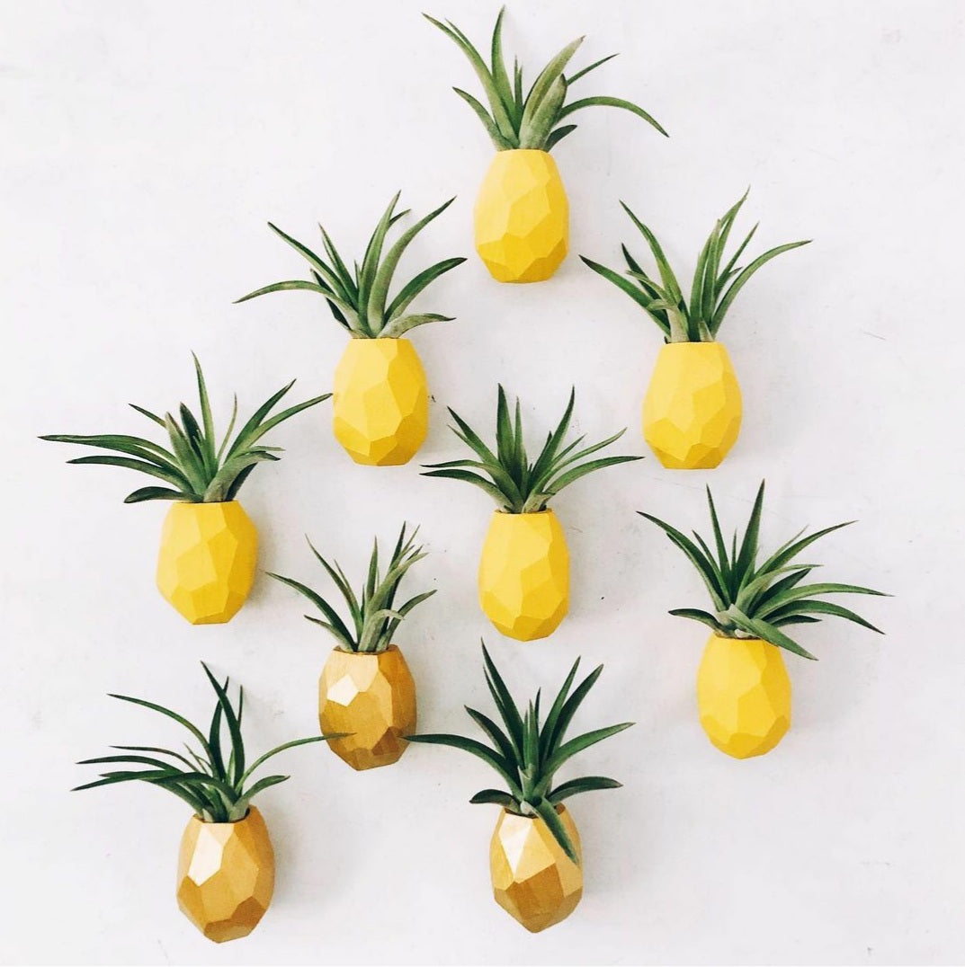 Pineapple Planter Magnet