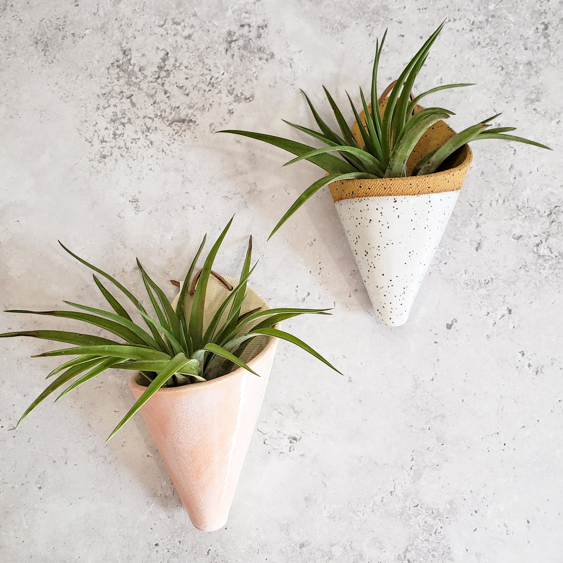ceramic plant wall hanger Ceramic Cone Wall Planter – BellasBloomShop