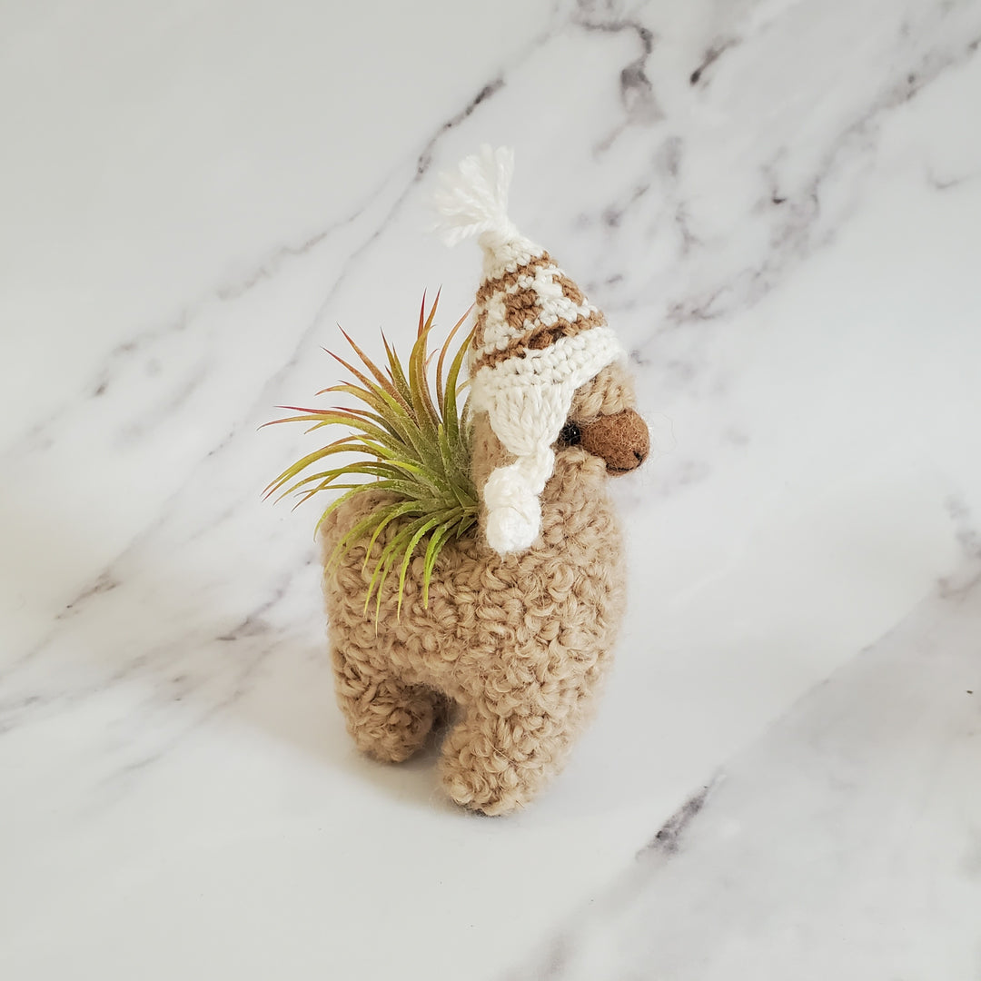 alpaca planter pot Alpaca Planter Set – BellasBloomShop