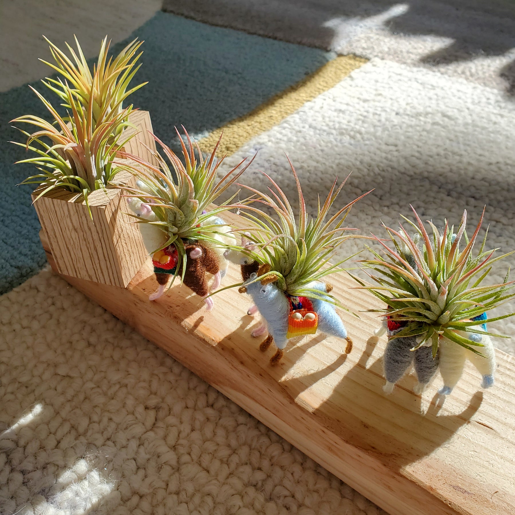 llama hanging planter Llama Planter Set – BellasBloomShop